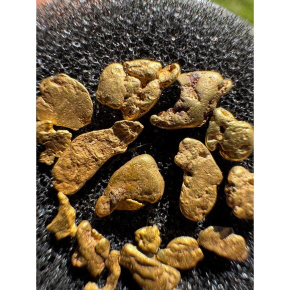 California Gold Nuggets in Display Case - 1.90 grams - Picture 5 of 7